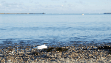 Cup lid at the beach